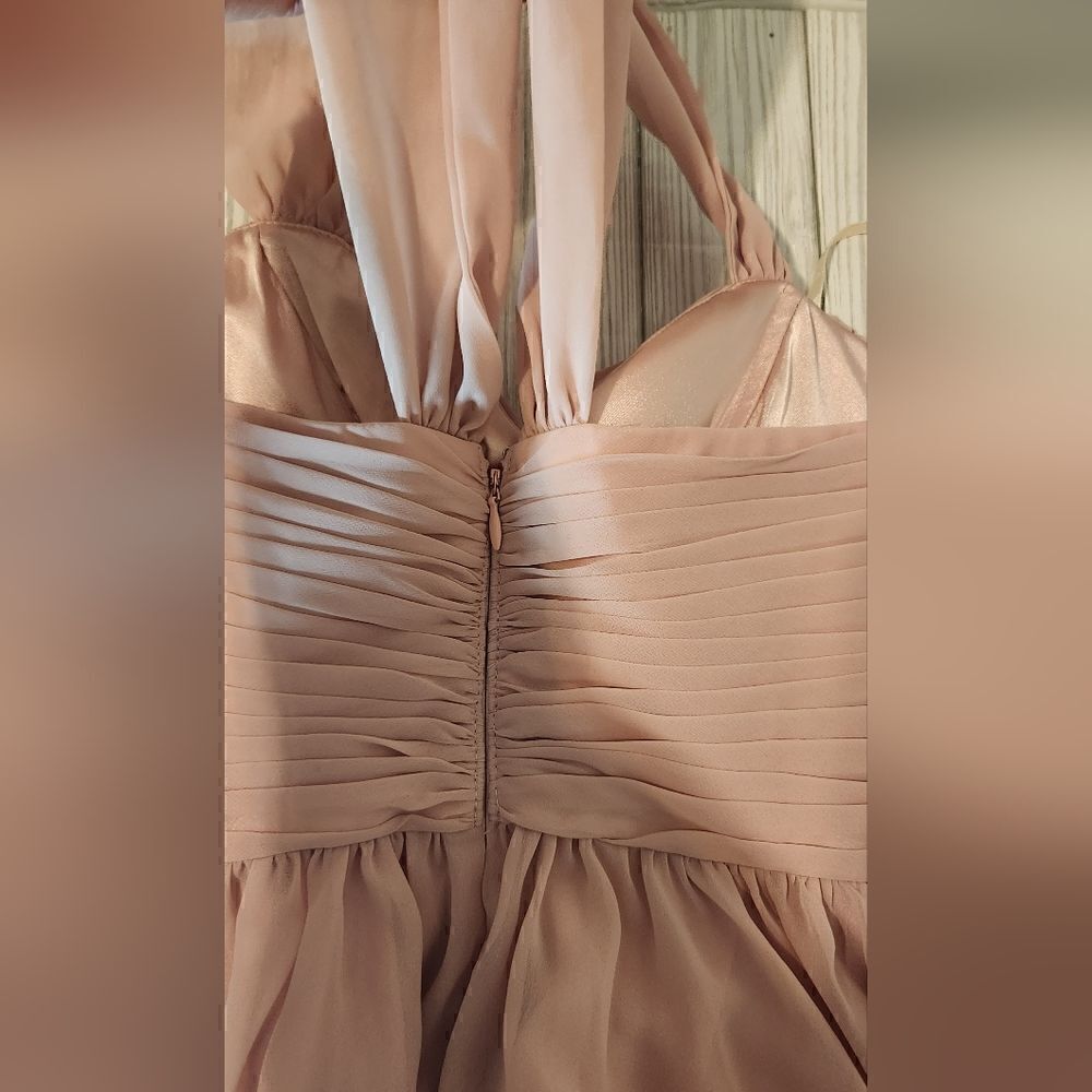Eliza J New York Blush Chiffon Bridesmaid Dress Size 4 - Picture 8 of 14